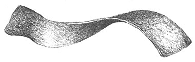 Band breit Dinkel (normal)